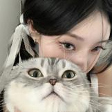 178******13的钢琴谱